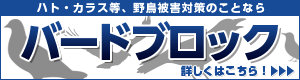 ハト・ツバメ・スズメ・カラス等の鳥獣被害対策総合コンサルタント「Bird Block」