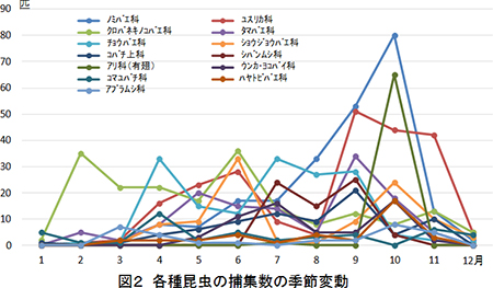 各種昆虫の捕集数の季節変動