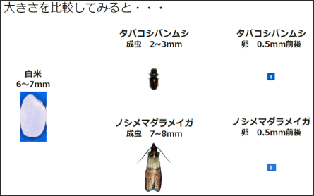 ペストコントロールの基礎知識と知って得する技術ノウハウ 情報 第8回 鵬図商事株式会社